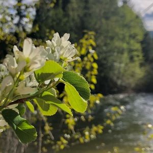 Meet your Posher, Avery